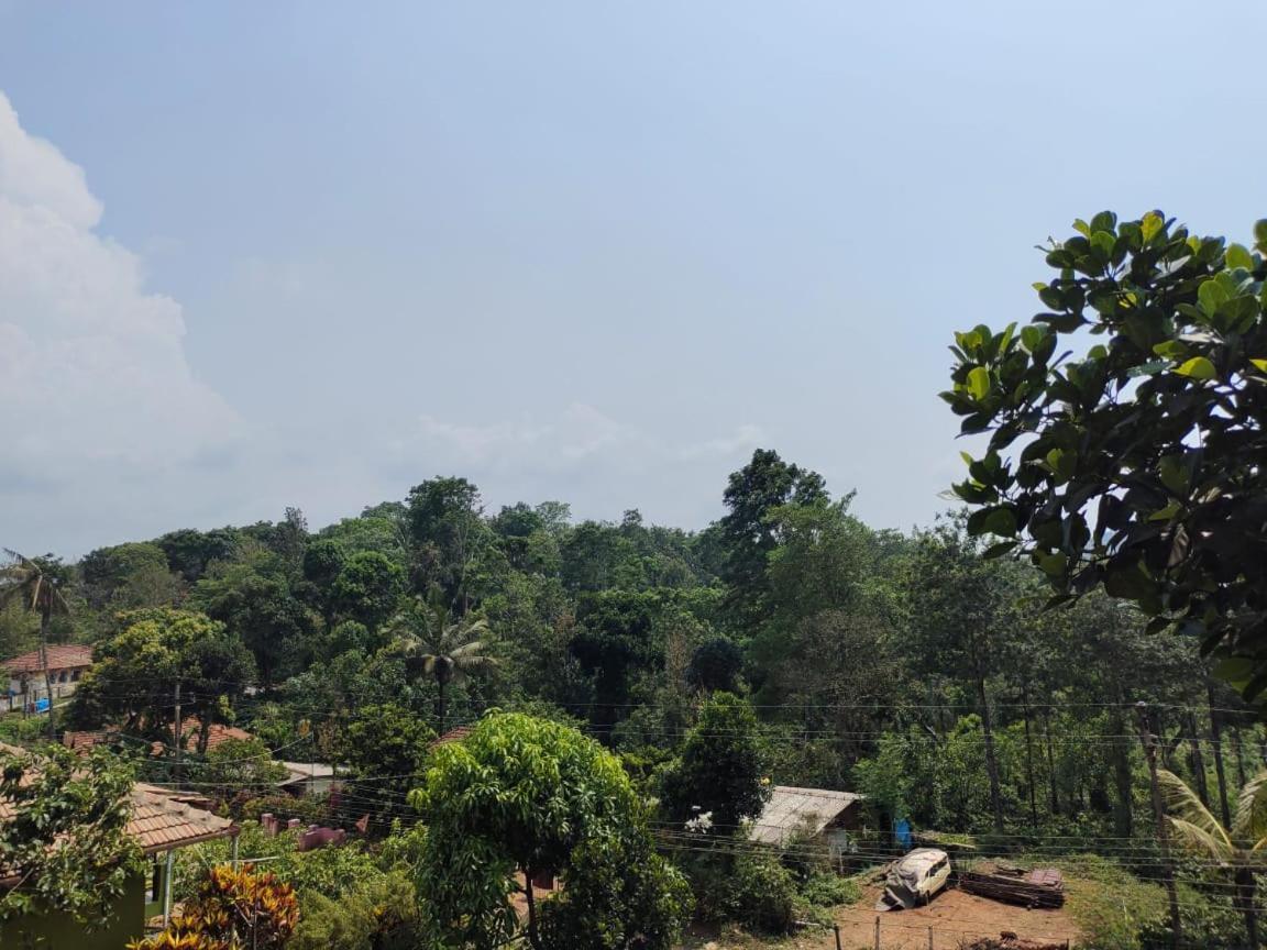 Green Land Estate Homestay 5 Rooms With Garden View Madikeri Exterior foto