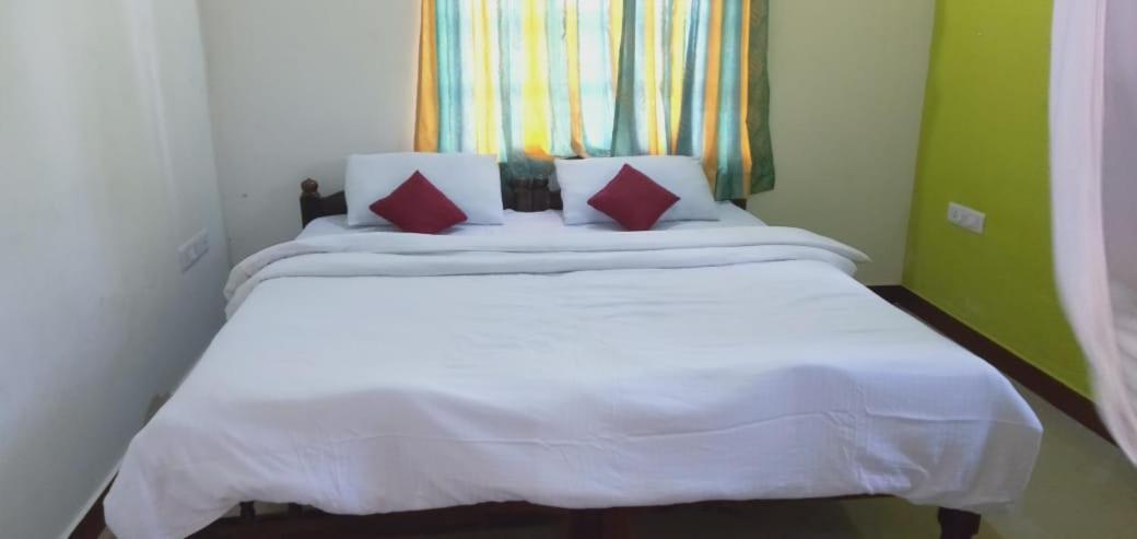 Green Land Estate Homestay 5 Rooms With Garden View Madikeri Exterior foto